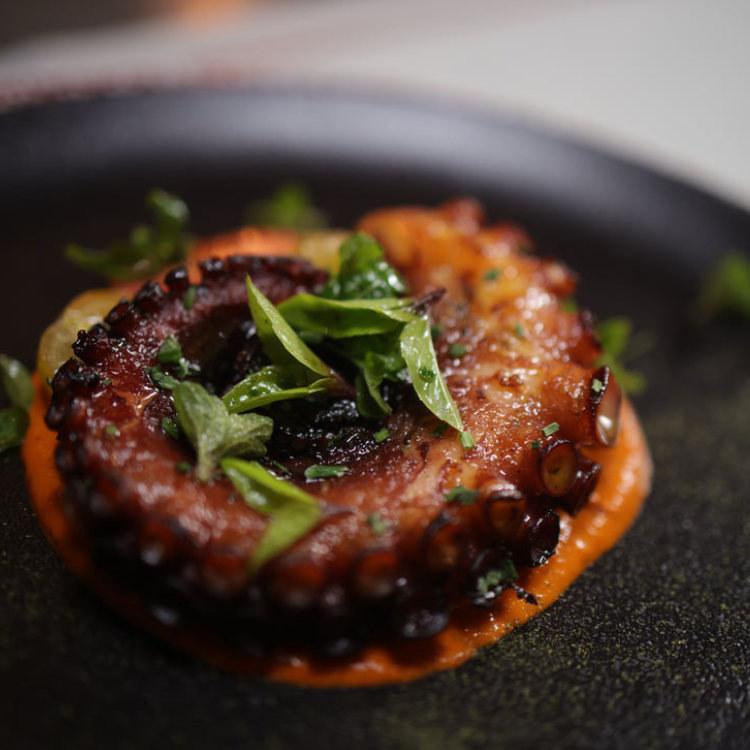 Euphoria Retreat Mediterranean GAIA Restaurant Food Dining