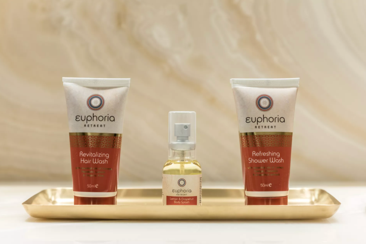 Superior Deluxe Double Guest Room