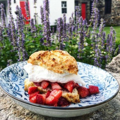 A plate featuring strawberry shortcake topped with whipped cream rests outdoors on a stone ledge, surrounded by purple flowers and softly blurred buildings in the background—evoking the serene atmosphere found at a Gaia Goddess Women’s Reiki Certification Levels 1&2 Retreat.