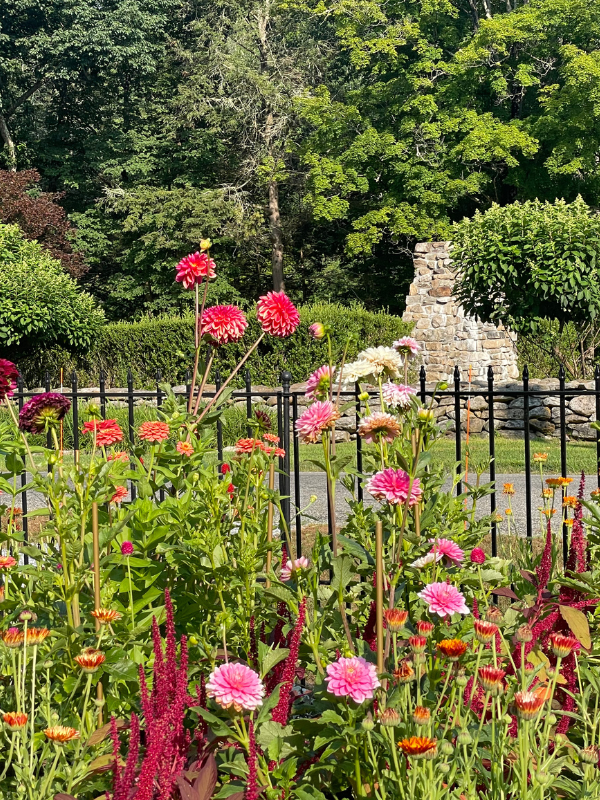 A garden with pink flowers at Trinity Retreat Center