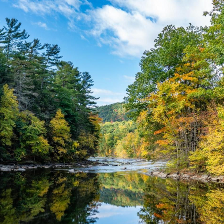 Shows the Housatonic river which flows behind the Trinity Retreat Center. Trees reflected in the river with a mountain in the background