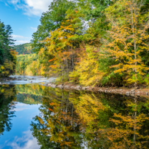 Women’s Reiki Level 1 Certification Retreat