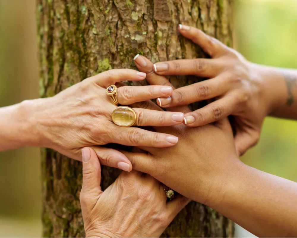 Four hands of different skin tones stacked together against a tree trunk, representing holistic wellbeing for women as they reconnect with nature.